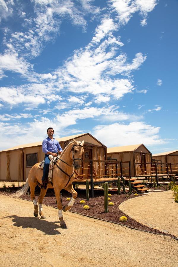Camping Indómito Glamping *